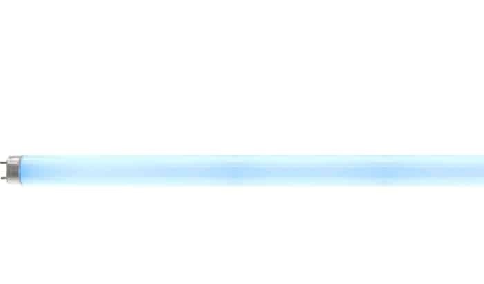 נורת פלורסנט לקטלנים T5 8W UVA 302.30MM