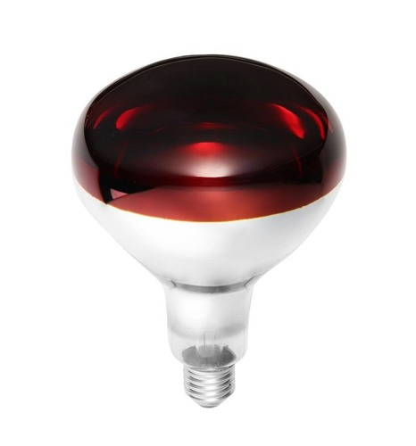 נורת חימום 250W אדומה (לוקסטן)
